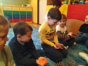 IMG20231120110432